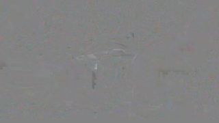 One From the Vault 38