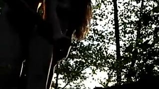 couple Sexy redfox play in forest part.5