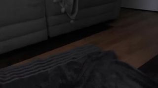 staceyryder dp anal squirt