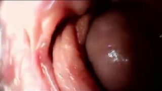 SEXUAL GUIDE TO SEMEN