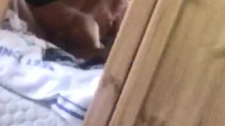 Julia Cinder Strand knullar och rider sin kille