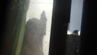 Mi cunada Me Cacho Que La Grababa Y no Dijo Nada