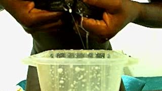 milka milk lactating moffos part.3