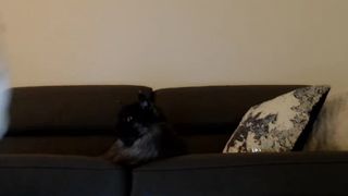 Katie - Candy Cane Recording