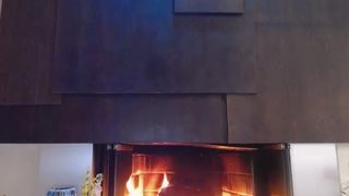 playboy playmate webcam?