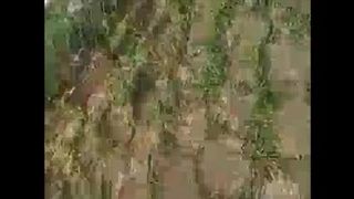 Espiando a la colegiala en el parque cogiendo