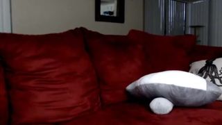 Young jakkychew dildo her hairy pussy