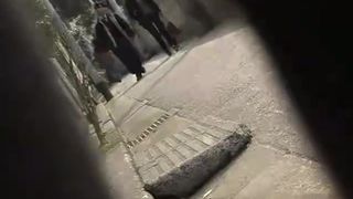 Japanesse Sharking Panties