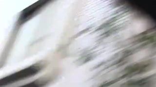 Japanesse Sharking Panties