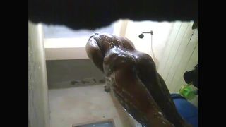 Spiando ala tia morena