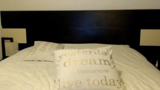 Wild_Kittycat MFC 24