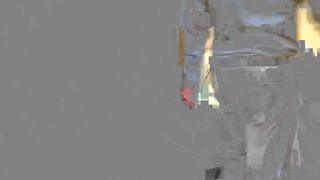 Agent Fake Sharon Lee