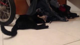 Bruenette fontain squirt