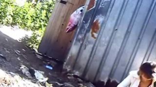 Piss Hunter # 50