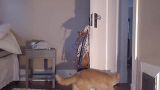 nobodyeven  recording 22.01.2018