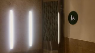 NikkiEliot Mile high dildo play public bathroom GONE SE