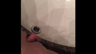 Bratty Bellas 1st Pee Comp