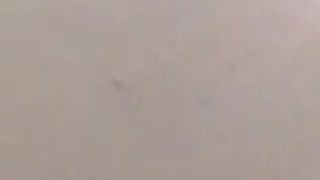 Alex y Sol 2017-01-19