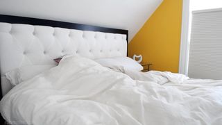 AdaLovelace Red Riding Hood