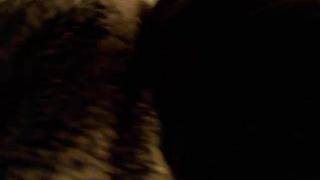 adrey big ass and tits 26/01/18