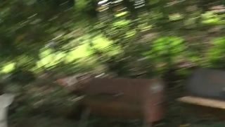 natasha anastasia flashing pussy in public