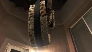 GinnyPotter and LexxiStar GG Recording in private premium video