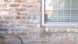 Miss_bee pussy fingering and dildo outside in cam recording 2016 July 08 033109