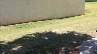 Janey squirt in park