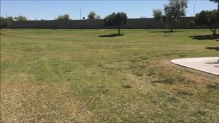 Janey squirt in park