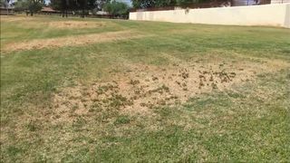 Janey squirt in park