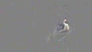 DreamCam.Vivi.Fernandez.01