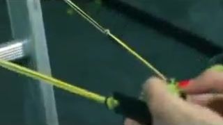 spiny chestnut shooting a slingshot in ass