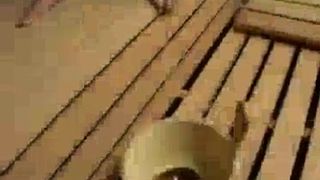 Fudendo na Sauna