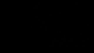 isa schatz a varanda