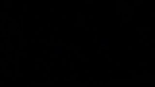 isabela schatz o jardim