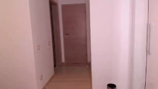 newwildcpl 2017-11-30 1721