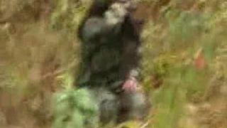 Aische Pervers Mission Pervers in private premium video