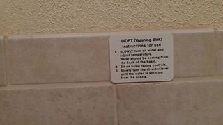 Candiecane Candiecane Sybaris Hotel Toilet Pee And Bidet Wash in private premium video