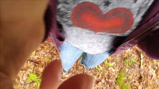 Candiecane Candiecane Stop 295 Public Park Peeing Adventure in private premium video