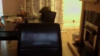 C4_constance926_May-25-2018