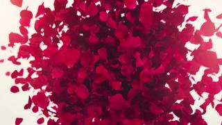 Helloharley - On Top (HDpremium)