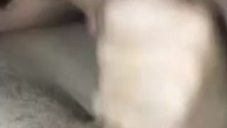 Collezione FRACASSA 003 Annalisa serve al suo padrone A