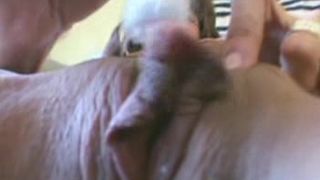 Donna Matura Con Clitoride Enorme