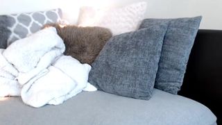 Ashxdiamond 5