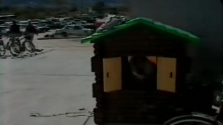 Wallmart Shopper