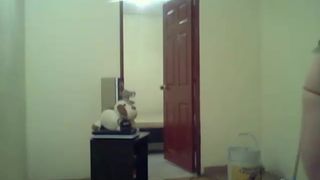 Princesslatina2014 webcam recording 2014 December 07_02-06-56