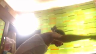 dazzlerpotts 20160829 1555