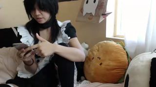 nekolukka 20160901 004237