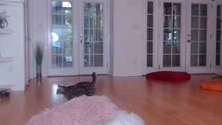 Ava____ - Tip Roulette part 2