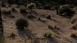 Sara underwood josh's tree